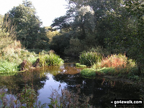 River in Gipping Valley