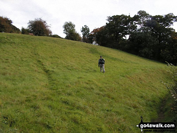 Broom Hill, Coddenham