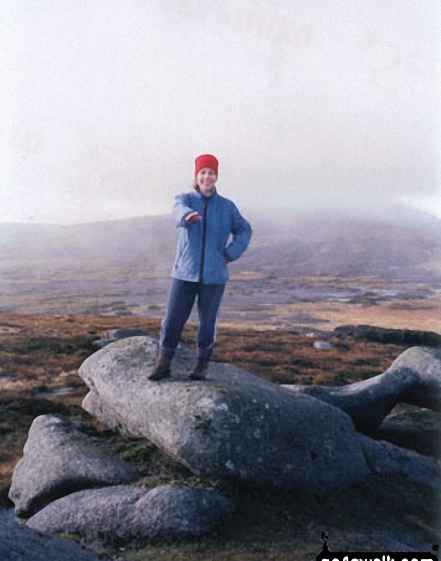 sharon weadick on Mullach Cliabh?in, An Mullach Thoir in Wicklow Mountains Wicklow Ireland