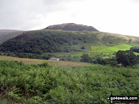 Walk d161 Rhodeswood Reservoir from Crowden - The spoil heaps above Brookholes Wood, Crowden