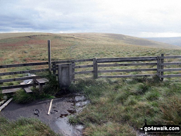 Fence stile on Tooleyshaw Moor