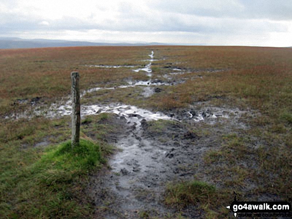 Summit post on a wet and boggy Westend Moss