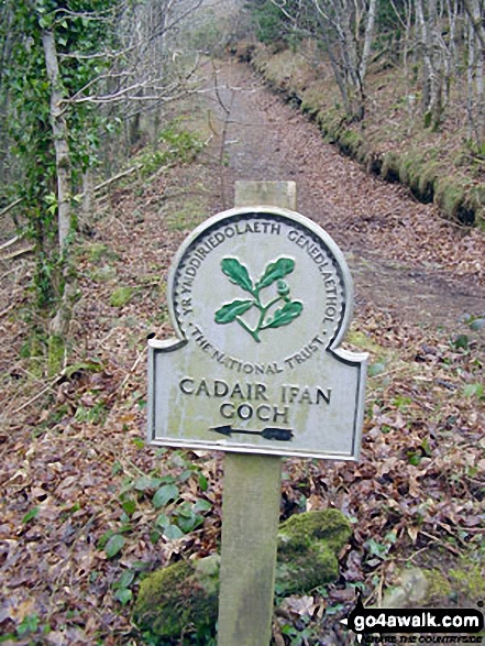 Heading for Cadair Ifan Goch