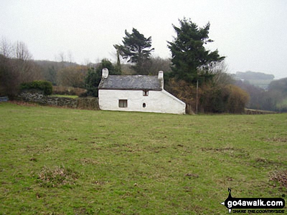 Pant-yr-ych Bach Farm