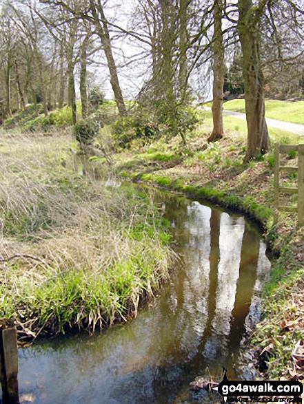 The River Bollin near Ross Mill