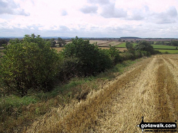 Walk le102 Sproxton and Coston from Buckminster - Fields near Sproxton