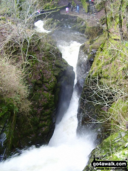 Walk c193 Dowthwaitehead from Aira Force - Riddings Beck above Aira Force