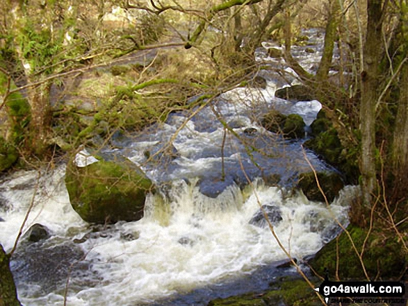 Riddings Beck above Aira Force