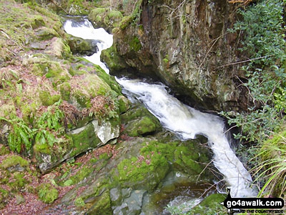 Walk c352 Gowbarrow Fell (Airy Crag) from Aira Force - Riddings Beck above Aira Force