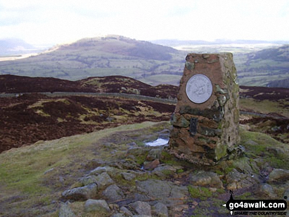 Walk c352 Gowbarrow Fell (Airy Crag) from Aira Force - Gowbarrow Fell (Airy Crag) summit