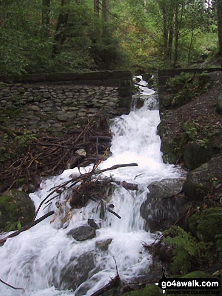 Skill Beck Waterfall at the Old Sawmill Tearooms, Dodd Wood