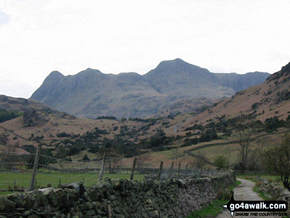 Langdale Pikes from Fell Foot