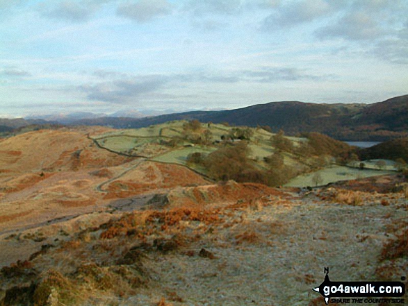 Climbing Beacon (Blawith Fells) with Coniston Water beyond