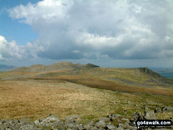 Walk c373 Stainton Pike, Whitfell and Buck Barrow from Broad Oak - Buck Barrow from Kinmont Buck Barrow