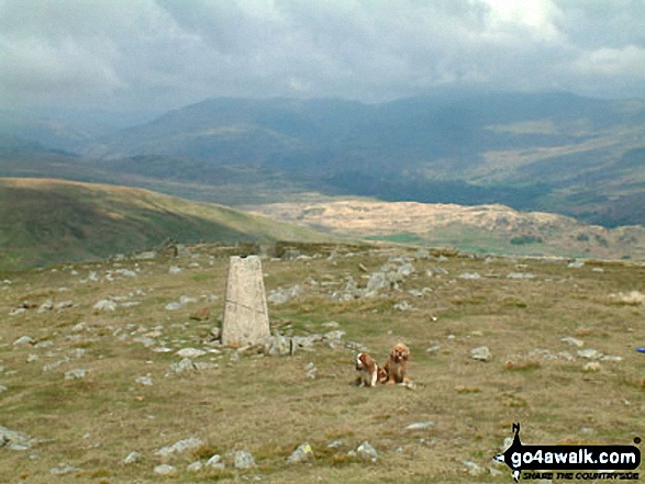 Walk c373 Stainton Pike, Whitfell and Buck Barrow from Broad Oak - The Duddon Valley from Whitfell (Whit Fell)