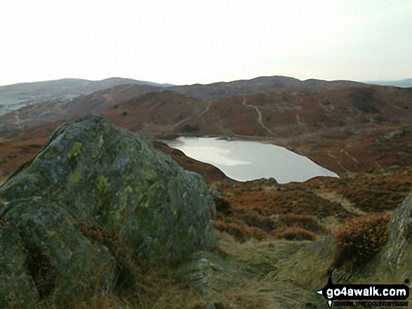 Beacon (Blawith Fells) from Beacon Tarn