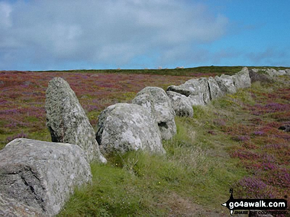 Walk co151 Stepper Point from Padstow - Unusual stone wall seen from The South West Coast Path near Land's End