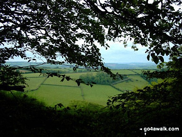 Walk so106 Haddon Hill and Wimbleball Lake from Bury - Hadborough