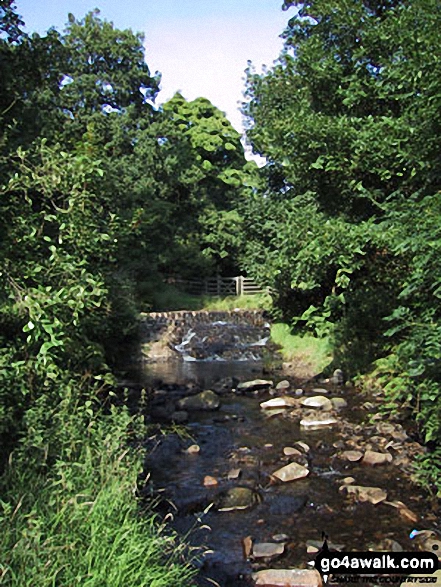 Dearden Brook