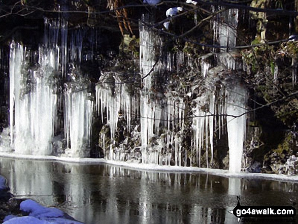 Walk ny144 Hardraw Force from Hawes - Icicles near Hawes