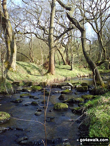 Swinden Water