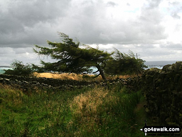 Walk l145 Weets Hill from Salterforth - En-route to Weets Hill from Barnoldswick