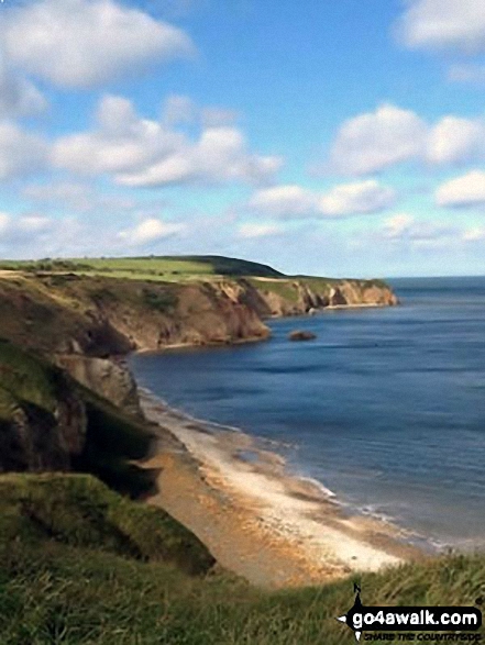 On the Durham Coast Path