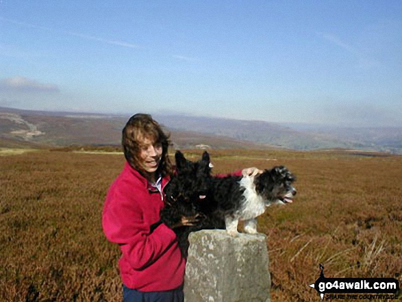 Walk ny174 Fremington Edge, Langthwaite and Arkengarthdale from Reeth - Sean, Rosie and Bess in Swaledale near Reeth