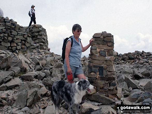 Walk c215 Scafell Pike from Seathwaite (Borrowdale) - On the top of Scafell Pike with Mac the Dog