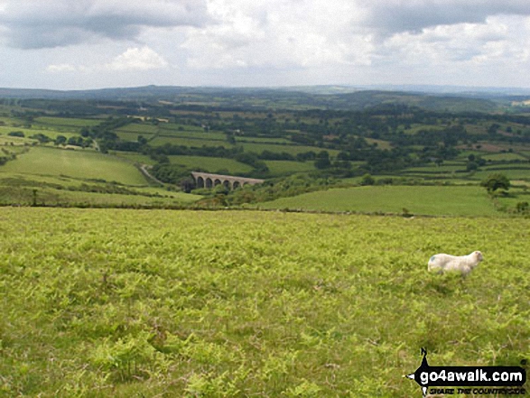 Walk de123 Sourton Tors and Meldon Reservoir from Sourton - Lydford Viaduct from Sourton Tors