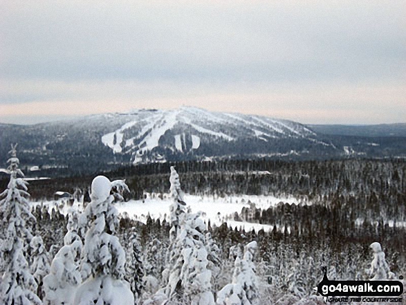 The Iso Syöte region in February