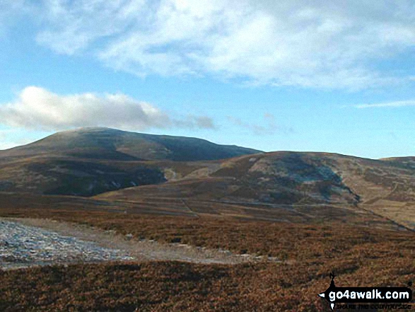 Broadhope Hill and The Cheviot from Cold Law