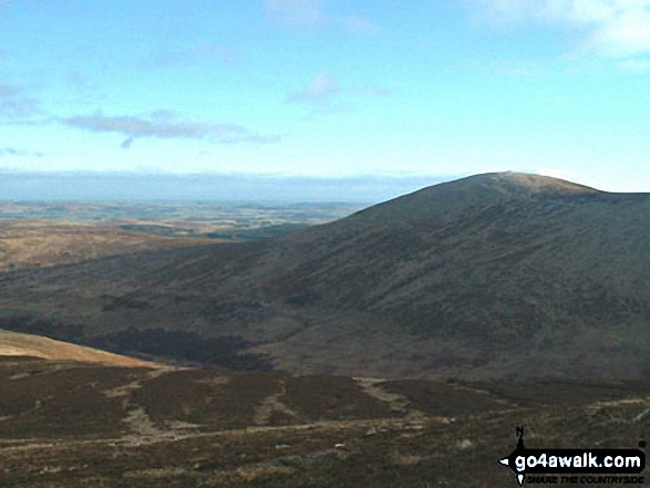 Walk n132 The Cheviot, Comb Fell and Hedgehope Hill from Harthope Burn Valley - Hedgehope Hill from The Cheviot