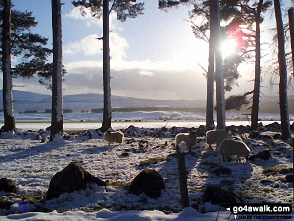 Glen Esk