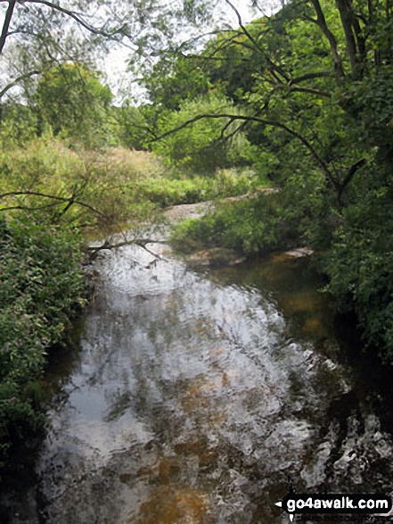 The River Bollin