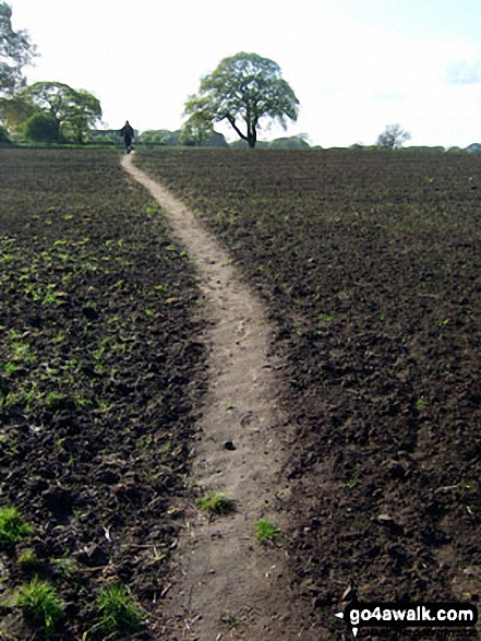 Field path to Swanwick Hall Farm, Goostrey