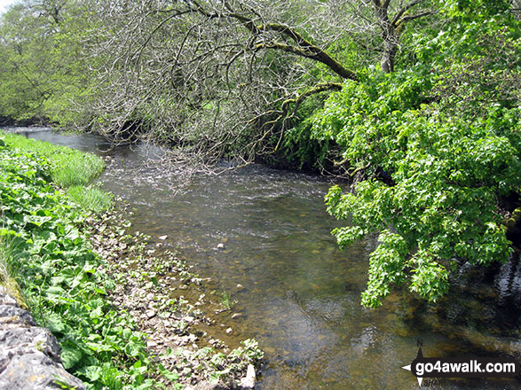 Walk s181 Merryton Low and The River Manifold from Longnor - The River Manifold