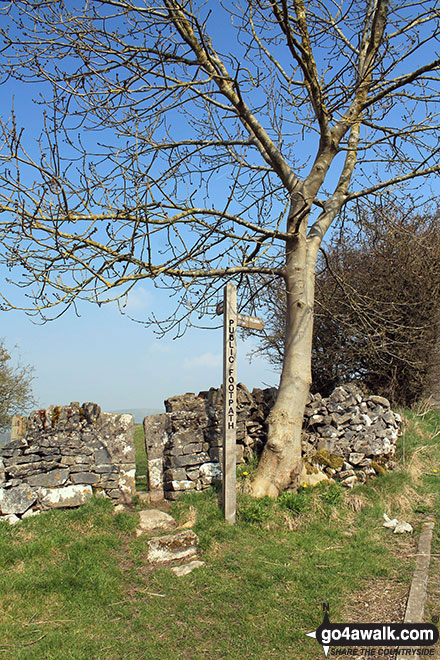 Walk d329 Pilsbury Castle Hills and Carder Low from Hartington - Signed stone squeezer stile north of Hartington