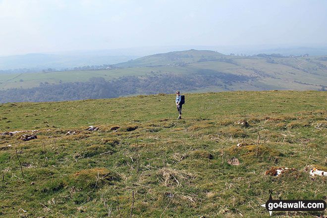 Walk d329 Pilsbury Castle Hills and Carder Low from Hartington - My wife descending Carder Low