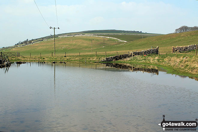 Walk d312 Carder Low, The High Peak Trail and The Tissington Trail from Hartington - Small pool west of Vincent House