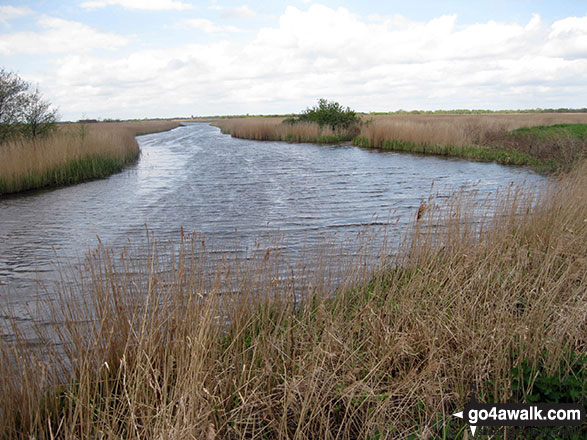 Walk nf104 Horsey Mere from Horsey - Martham Broad