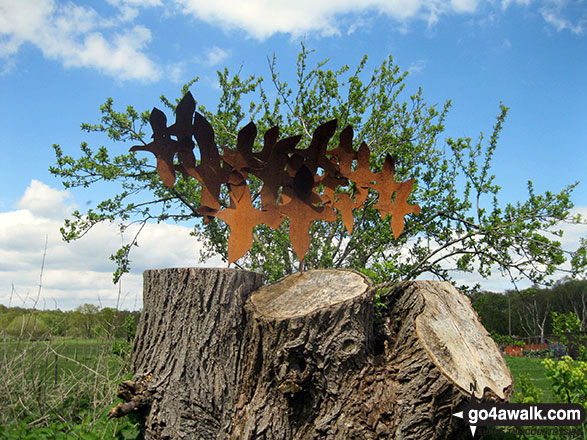 Walk nf126 South Wood from Winterton-on-Sea - Sign near Winterton-on-Sea