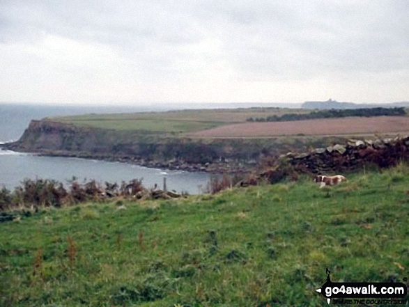 The view from Hundale Point along the coast to Scarborough Castle