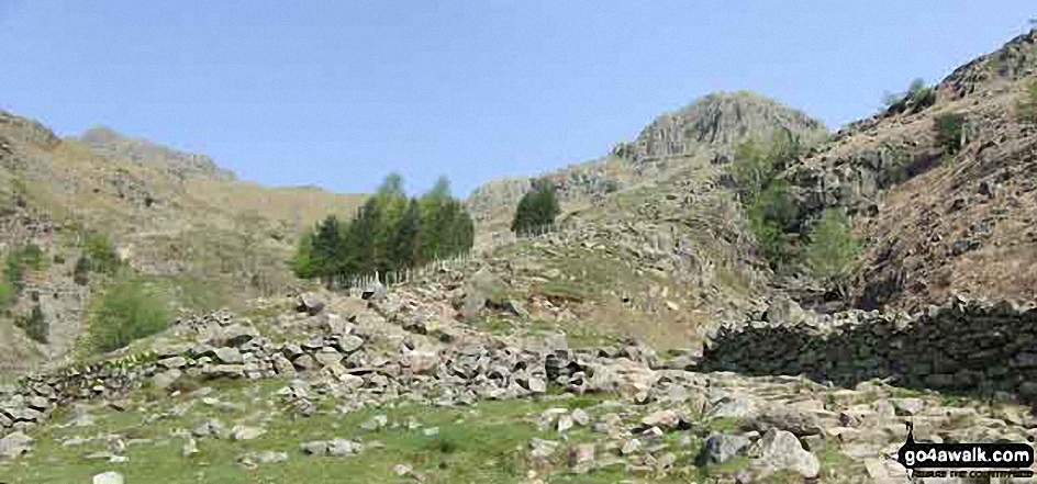 Starting up Stickle Ghyll from Great Langdale with Harrison Stickle (The Langdale Pikes) (far left)