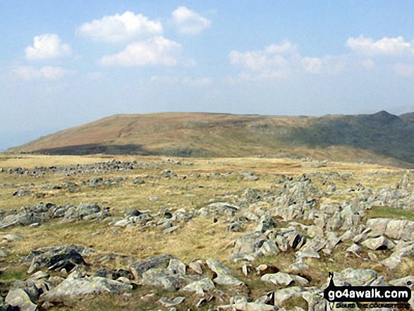 High Raise (Langdale) (left) and Seargent Man (dark pimple far right) from Thunacar Knott