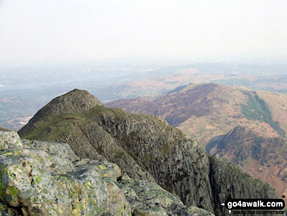 Walk c281 The Langdale Pikes via North Rake from The New Dungeon Ghyll, Great Langdale - Loft Crag from Pike of Stickle (The Langdale Pikes)