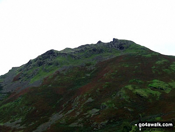 Helm Crag from Greenburn Bottom