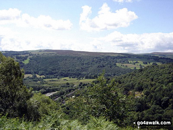 Looking West towards Bole Hill, Longshaw Country Park