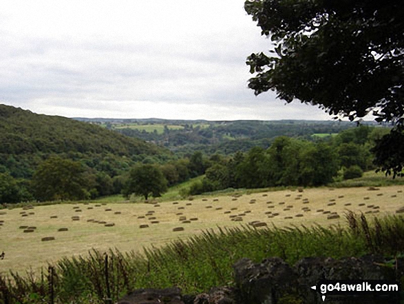 View South West from Foxt Village