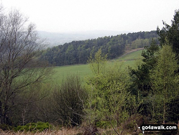 Walk d199 Stanton Moor from Rowsley - Stanton Moor